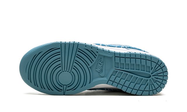 Nike Dunk Low Essential Paisley Pack Worn