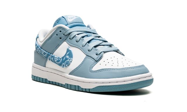 Nike Dunk Low Essential Paisley Pack Worn
