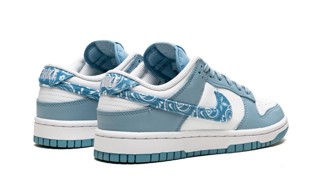 Nike Dunk Low Essential Paisley Pack Worn