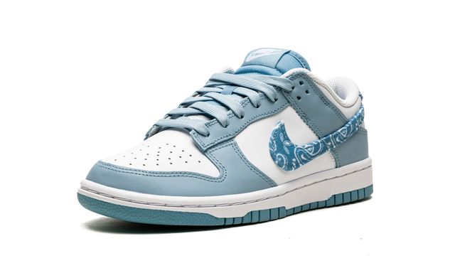 Nike Dunk Low Essential Paisley Pack Worn