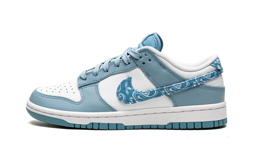 Nike Dunk Low Essential Paisley Pack Worn