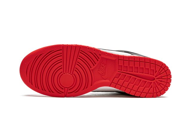 Nike Dunk Low NBA