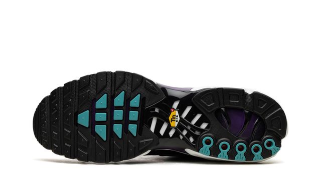 Nike Air Max Plus Reverse Grape