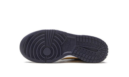 Nike Dunk Low Michigan