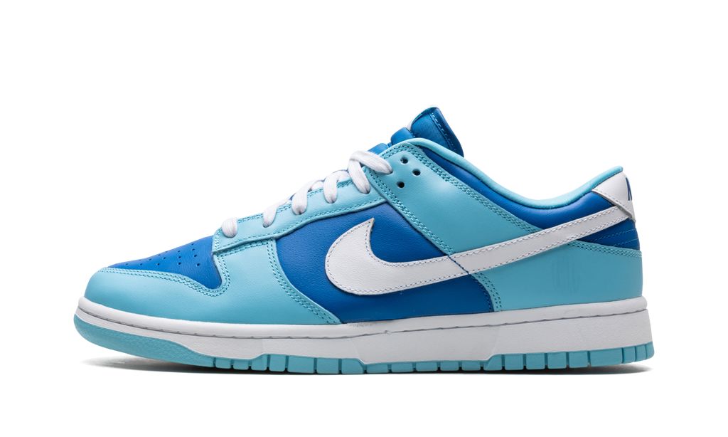 Nike Dunk Low Retro Argon 